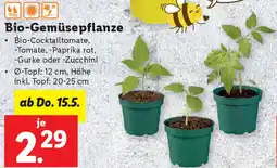 Lidl Bio-Gemüsepflanze Angebot
