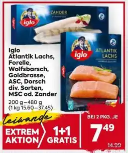 Billa Iglo Atlantik Lachs, Forelle, Wolfsbarsch, Goldbrasse, ASC, Dorsch div. Sorten, MSC od. Zander Angebot