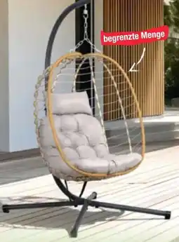 Maximarkt Sitwell Hängekorb Harry Angebot