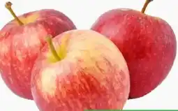 ETSAN Äpfel Gala Angebot