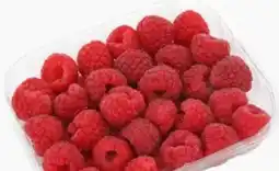 ETSAN Himbeeren Angebot