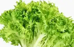 ETSAN Salat Grazer Angebot
