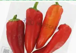 ETSAN Paprika Kapya Angebot