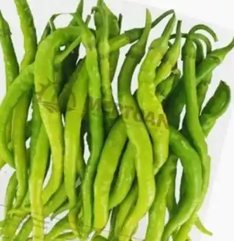 ETSAN Pfefferoni Kilcik Angebot
