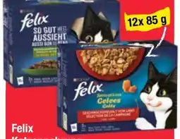 Maximarkt Purina Felix Katzennahrung Angebot