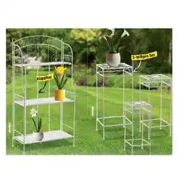 Maximarkt Antik-Regal oder Antik-Hocker-Set maxi.preisjoker Maximarkt Angebot