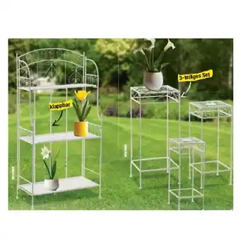 Maximarkt Antik-Regal oder Antik-Hocker-Set maxi.preisjoker Maximarkt Angebot