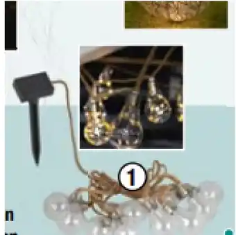 Maximarkt Solarleuchten für den Garten Solar-Lichterkette maxi.preisjoker Maximarkt Angebot