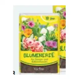 Maximarkt Blumenerde torffrei maxi.preisjoker Maximarkt Angebot