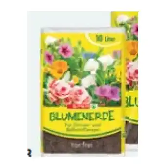 Maximarkt Blumenerde torffrei maxi.preisjoker Maximarkt Angebot