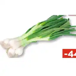 Unimarkt Jungzwiebel weiß Unimarkt Angebot