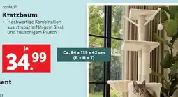 Lidl Kratzbaum Angebot