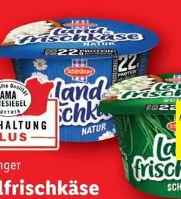 Lidl Schärdinger Landfrischkäse Angebot