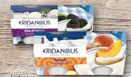 Lidl Eridanous Griechischer Joghurt Angebot