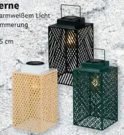 Lidl Livarno Home LED-Solar-Laterne Angebot