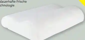 Lidl Livarno Home Nackenstützpolster Angebot