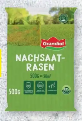 Lidl Grandiol Nachsaatrasen Angebot