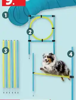 Lidl zoofari Hunde Agility-Sortiment Angebot