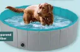 Lidl zoofari Hundepool Angebot