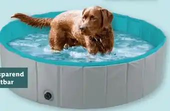 Lidl zoofari Hundepool Angebot