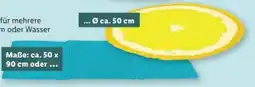 Lidl zoofari Kühlmatte Angebot