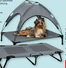 Lidl zoofari Haustierbett Angebot