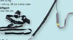 Lidl zoofari Hunde-Leine Angebot