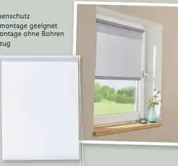 Lidl Livarno Home Tageslichtrollo Angebot