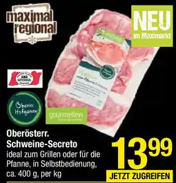Maximarkt Oberösterr. Schweine-Secreto Angebot