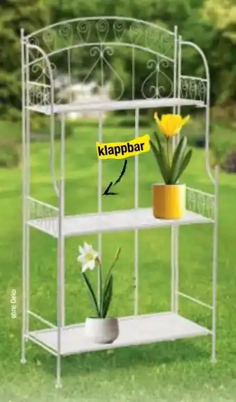 Maximarkt Lex Antik Regal Angebot