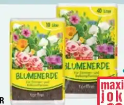 Maximarkt Spar Blumenerde torffrei Angebot