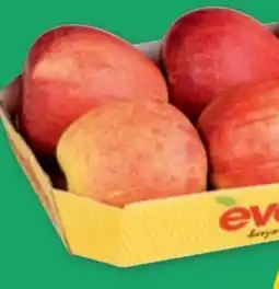 PENNY Evelina Äpfel Angebot