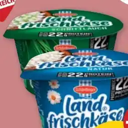 PENNY Schärdinger Landfrischkäse Angebot