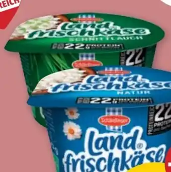 PENNY Schärdinger Landfrischkäse Angebot