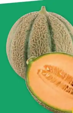 PENNY Zuckermelonen Angebot
