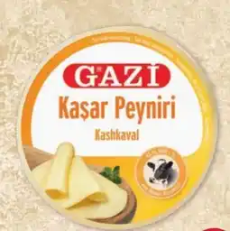 PENNY Gazi Kaşar Peyniri Kashkaval Angebot