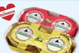 PENNY Schlierbacher Bio-Schlosskäse Angebot
