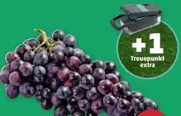 PENNY Trauben Angebot