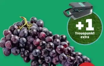 PENNY Trauben Angebot