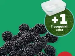 PENNY Brombeeren Angebot