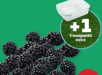 PENNY Brombeeren Angebot