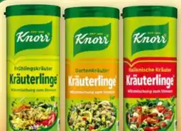 Norma Knorr Kräuterlinge Angebot