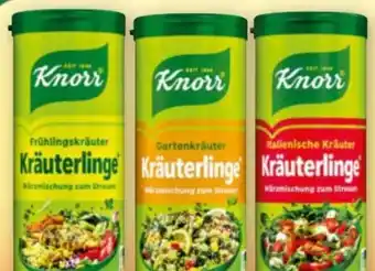 Norma Knorr Kräuterlinge Angebot