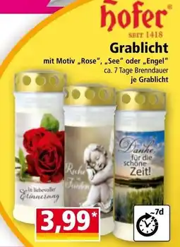 Norma Kerzen Grablichter Angebot