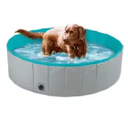 Lidl Hundepool Lidl Angebot