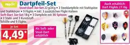 Norma Dartpfeil-Set Angebot