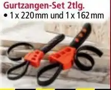 Norma Gurtzangen-Set Angebot