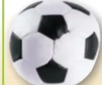 Norma Lena Softfußball Angebot