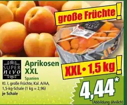 Norma Aprikosen Angebot