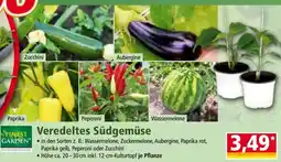 Norma Veredeltes Südgemüse Angebot